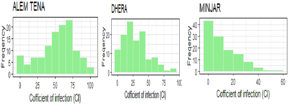 Figure 1: Distribution of Coefficient of infection for the Tested Genotypes across the 3 locations.