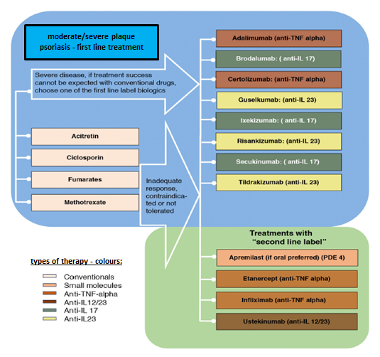 Figure 2: overview of treatment options for moderate to severe focal (plaque) psoriasis (modified according to the EuroGuiDerm recommendation from 2020 [10] note: phototherapy is not addressed in this recommendation, therefore it is not shown in the picture).