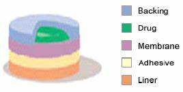 Figure 2: Multilayer Drug in Adhesive.