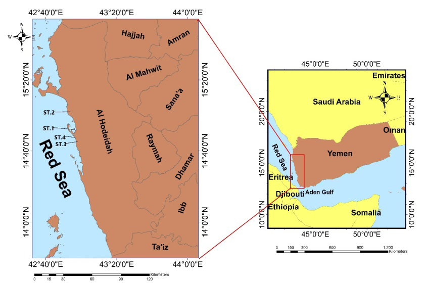 Figure 1: Sampling stations of the study area.