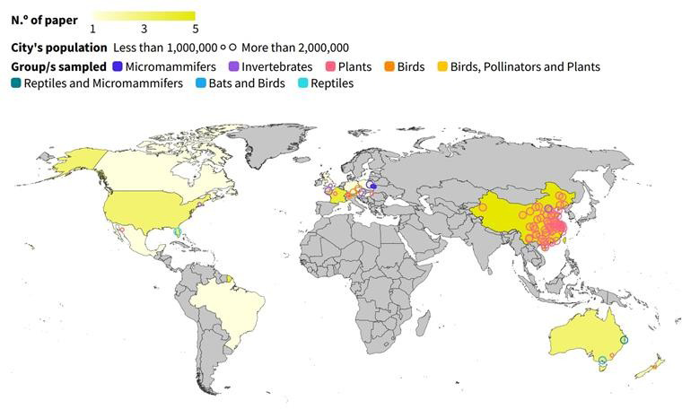 Figure 1: Studies with recommendations by country of origin of the research and cities.