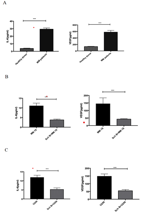 Figure 4: Sch B inhibited MM cell lines secreting IL-6 and VEGF. (A) MM patients; (B) MM.1S; (C) U266; Data represent one of the three independent experiments, each performed in triplicate. ∗∗∗𝑃 < 0.001.