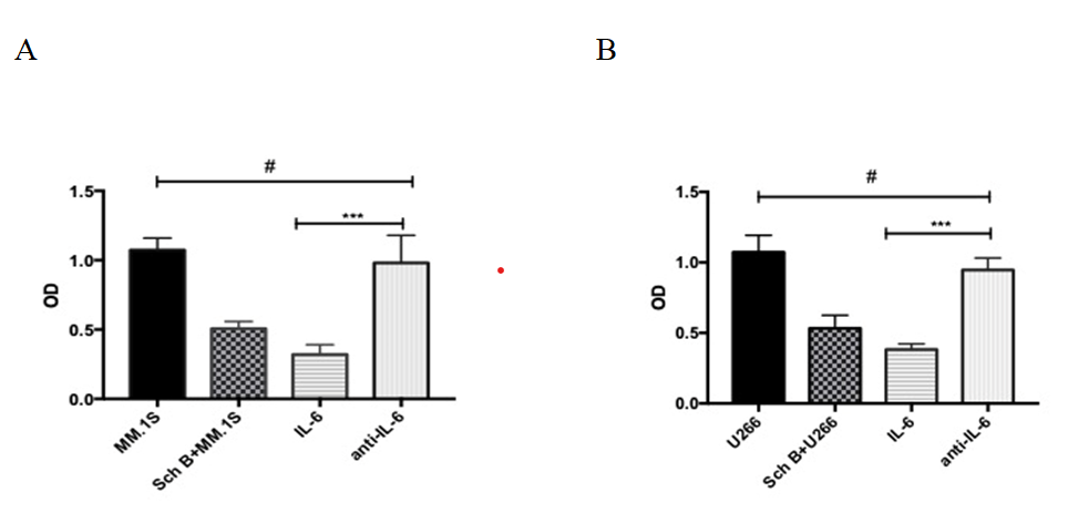 Figure 5: Sch B suppressed the proliferation of MM cell lines via IL-6. (A) Sch B suppressed the proliferation of MM.1S via IL-6; (B) Sch B suppressed the proliferation of U266 via IL-6; Data represent one of the three independent experiments, each performed in triplicate. #𝑃 > 0.05, ∗∗∗𝑃 < 0.001.