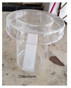 Figure 15: TLC of Calcium Citrate.