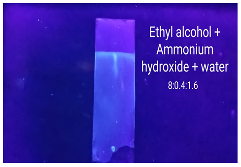 Figure 16: Using Individual solvent system for TLC.