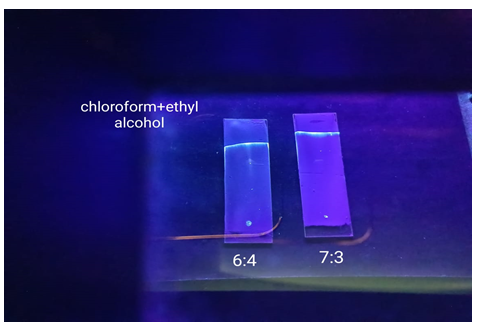 Figure 19: Ethyl alcohol + chloroform (9:1/8:2/ 7:3/6:4/5:5).