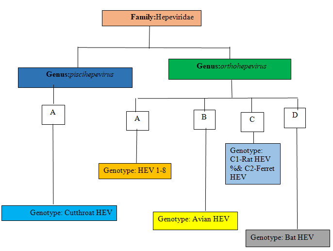 Figure 1: Current classification of HEV.