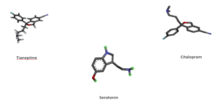 Figure 1: Inhibitors of Serotonergic Transporters .3D confirmations obtained using PyMOL
