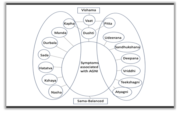 Figure 1: Symptoms associated with agni.