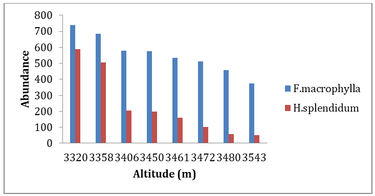 Figure 3: The effect of aspect on the abundance of F. macrophylla and H. splendidum plant species (KEY: NW=North-West, NE=North-East, SW=South-West, SE=South-East) On the other hand, the analysis done also complement that both species with high abundance recorded in Northern direction followed by Southern direction (Table 5).