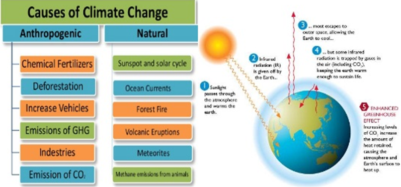 Figure 2: Causes of climate change, Source [7].