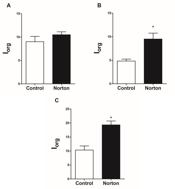 Figure 5: Organ index (lorg) of kidney (A), liver (B) and gills (C) of Piaractus brachypomus exposed to Norton herbicide (2,4-D + Picloram) for 96 hours. (*) Denotes difference (p < 0.05) regarding the control group.