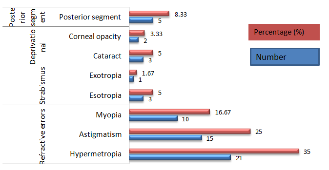 Figure 2: Ocular disorders which cause amblyopia among Gondar town primary school children, 2015.
