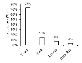 Figure 13: Organs used on _Antiaris toxicaria._