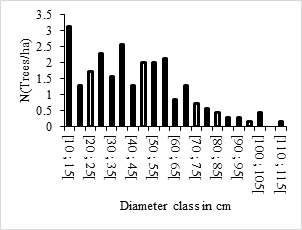 Figure 4: Diameter structure of _Albizia zygia_.
