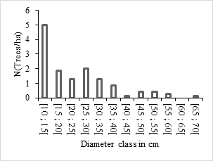 Figure 6: Diameter structure of _Ceiba pentandra._