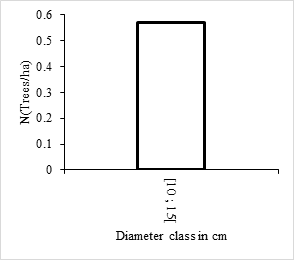 Figure 7: Diameter structure of _Newbouldia laevis._