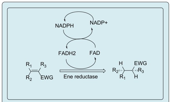 Figure 4: Examples of some chiral compounds having different effect.