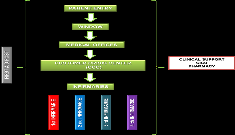 Figure 1: Care Structure.