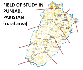 Figure 1: Study area Punjab, Pakistan.