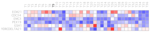 Figure 19: Bicluster with the MRPL10 gene.