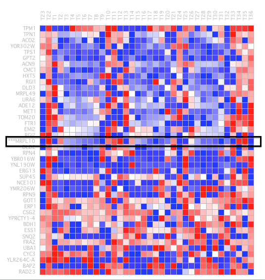 Figure 21