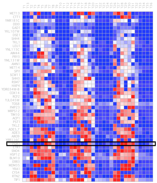 Figure 25: Selecting Groups after Applying BiMax.