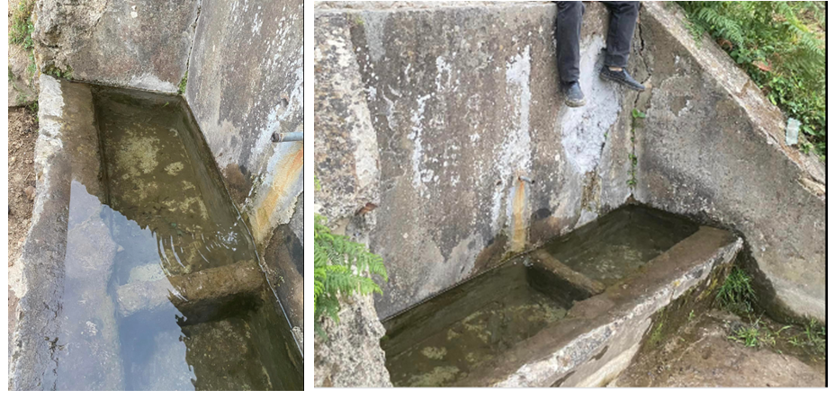 Figure 2: Views of the basin containing Salamandra algira algira larvae.