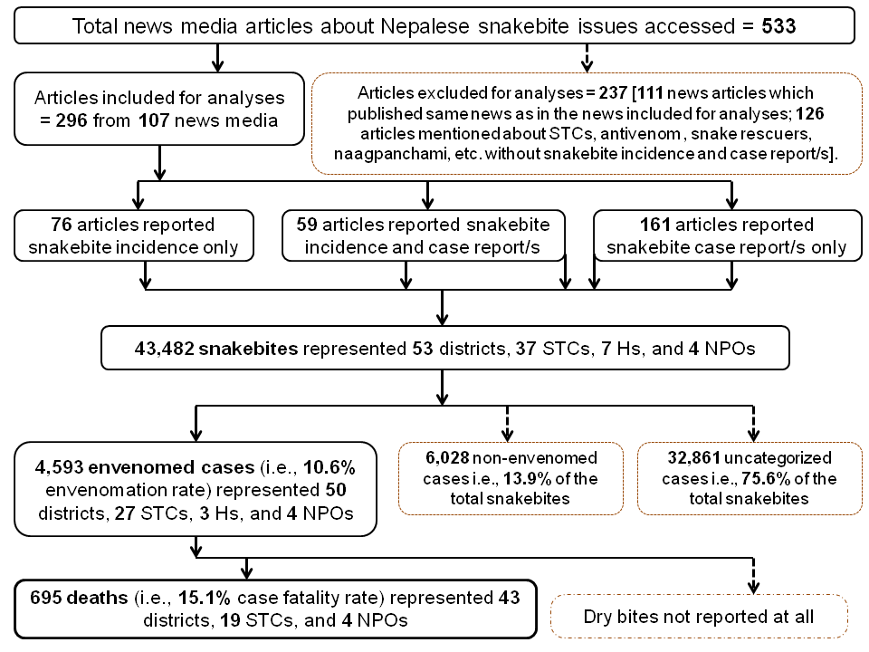 Figure 3: Flow diagram showing numbers of included and excluded news media articles, snakebite incidences, and outcomes of envenomated cases [STCs: Snakebite Treatment Centers, Hs: hospitals where antivenom supply was unclear but snakebite cases accessed, NPOs: Nepal Police Offices].