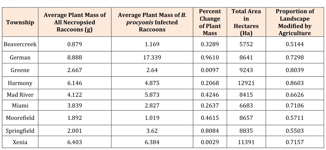 Figure 1: Analysis of _B. procyonis_ parasite prevalence and intensity in necropsied raccoons was conducted to investigate the relationship between parasitic infection and raccoon diet. Following the ANOVA and χ2 analysis of parasite prevalence and intensity in necropsied raccoons from townships in Southwest Ohio, we constructed a simple linear regression which depicts the relationship between the percent change of infected to uninfected raccoons and the percent agriculture of the township. Graphical analysis demonstrated a negative relationship between percent changes of plant material found in the stomach contents to the percent agriculture of the townships surveyed.