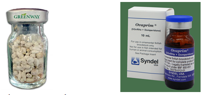 Figure 1: PG abstract and Ovuline® (LHRH-A).