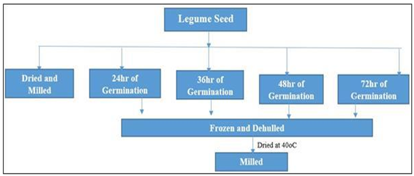 Figure 3: Preparation of Beans Flour/Schematic representation.