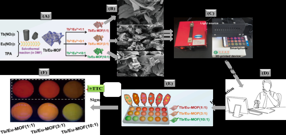 Figure 2: Schematic illustration of TTC identification photoluminescent sensing system; (A) synthetic process of Tb/Eu-MOFs, (B) SEM images of Tb/Eu-MOF (1:1), Tb/Eu-MOF (3:1) and Tb/Eu-MOF (10:1), (C) sensor array platform, (D) data processing, (E) TTC identification, and (F) different probes sensing TTC. Reproduced with permission from Liu, et al. [27].