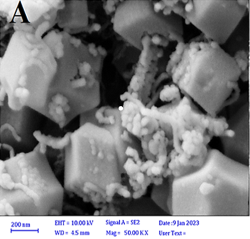 Figure 2: Field emission scanning electron microscopy (FESEM) images of ZIF-8/CNT in different dimensions: 200 nm (A) and 1 μm (B).