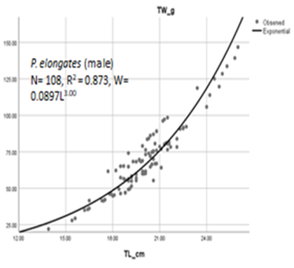 Figure 6: Length-weight of female of Pseudotolithus elongatus in Jaja creek.