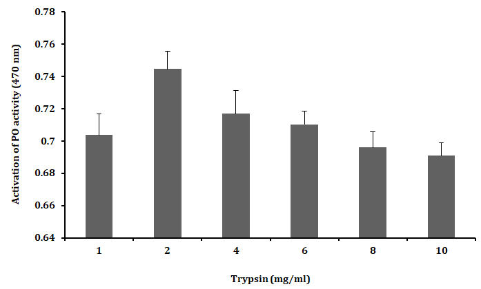 Figure 2: However, these results clearly suggested the optimum concentration for activating PO activity in 2 mg.ml-1 of trypsin.