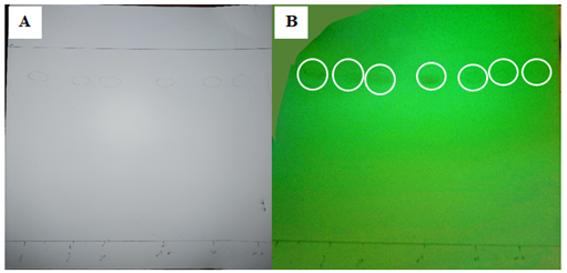 Figure 3: TLC chromatogram under daylight (A), and Iodine tank (B). The above figure shows the thin-layer chromatogram of various brands of metronidazole tablets. The Rf was obtained for the different samples ranging from 0.82 (A), 0.84 (B), 0.82 (C), 0.82 (D), 0.82 (E), and 0.84 for sample F respectively.