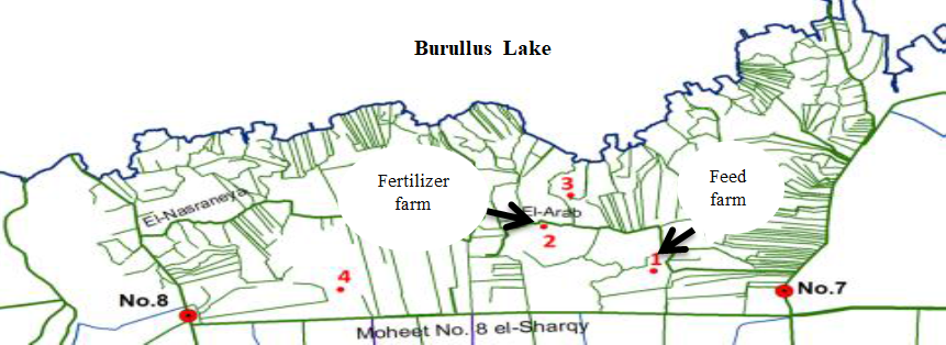 Figure 1: A map showing of Kafr El-Sheikh governorate and two fish farm.