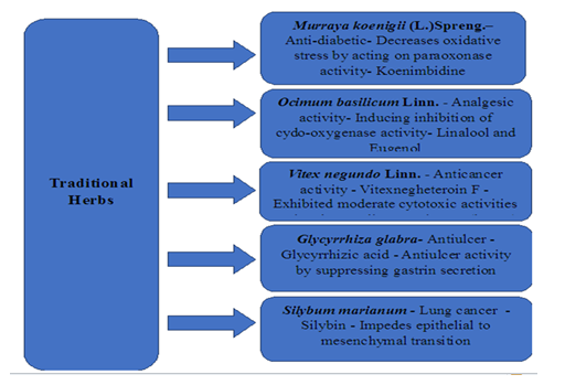 Figure 1: Medicinal properties of some commonly used Himalayan herbs.
