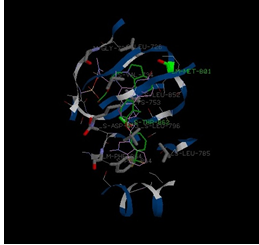 Figure 10: Molecular interactions between Osmertinib- HER2 Complex.