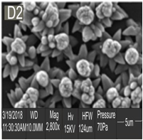 Figure 10: SEM Image of AlZnO annealed @ 100°C.
