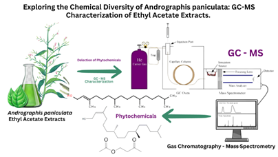 Figure 1: _Andrographis paniculate_.