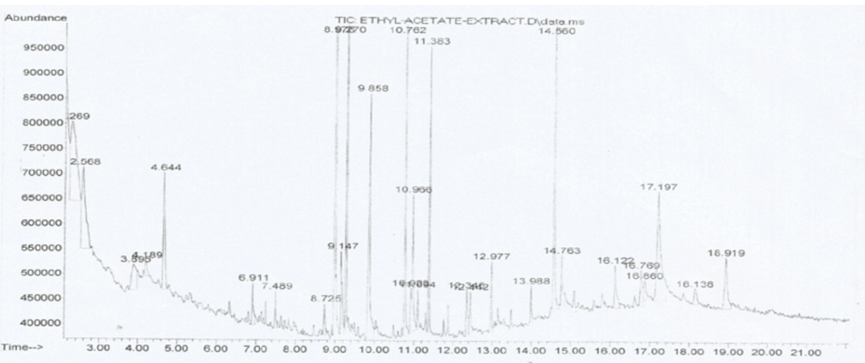 Figure 5: The mass spectrum of Squalene.