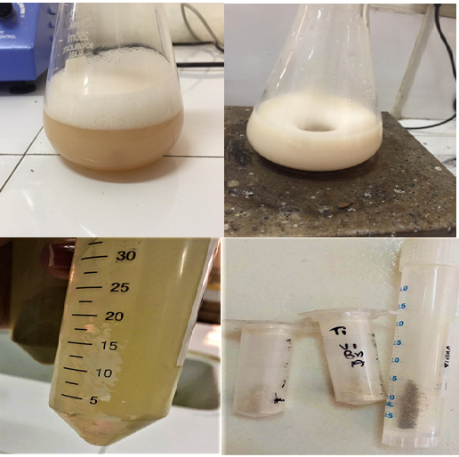 Figure 3: Procedure for the synthesis of TiO2 Nanoparticles.