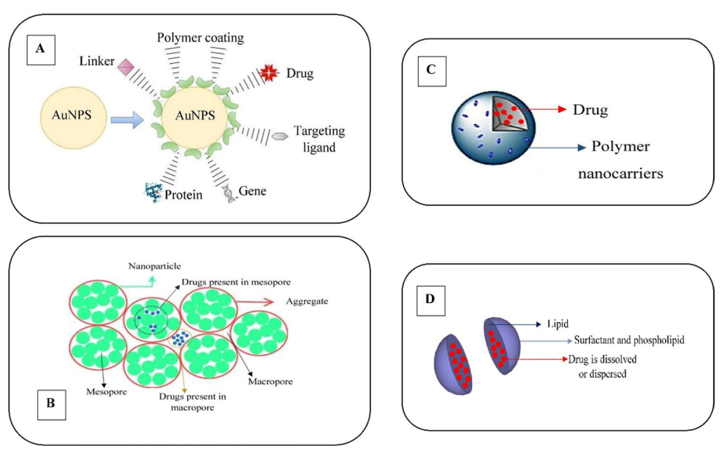 Figure 10: The applications of nanoparticles in RNA interference (RNAi) therapy. RNAi molecules, including small interfering RNAs (siRNAs), microRNA (miRNA), and short hairpin RNA (shRNA), could be combined with organic and inorganic NPs to form nanocarriers systems with RNAi molecules.