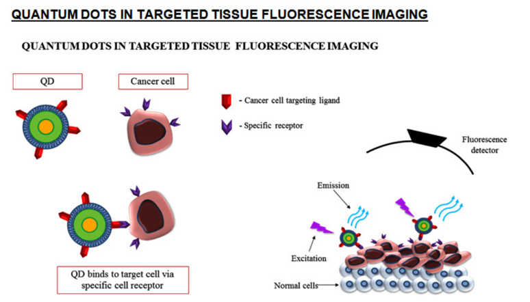 Figure 7: The main advantages of nanoencapsulation of nutraceuticals in the food field. “GRAS” is a Food and Drug Administration designation that means “Generally Recognized as Safe” [134].