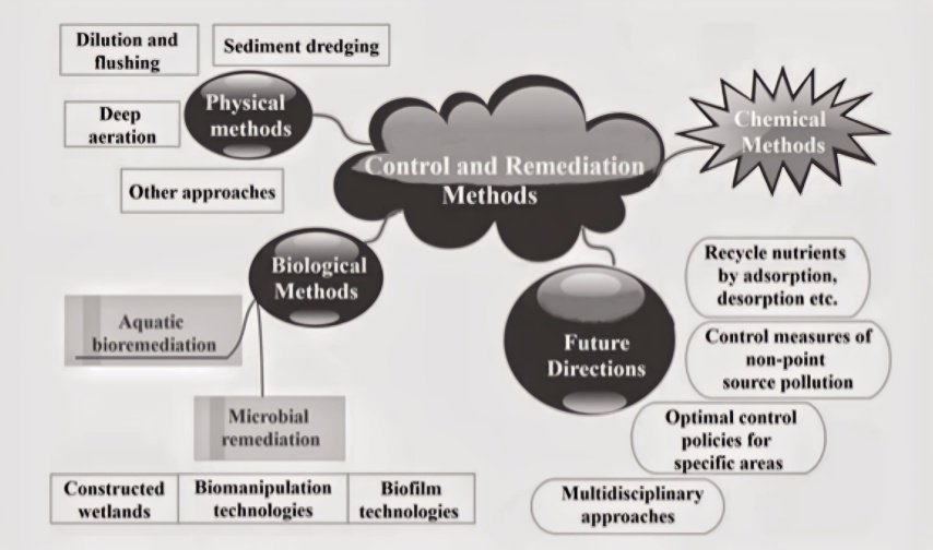 Figure 2: Key treatment technology for cyanobacterial bloom control in a Chinese lake [28].