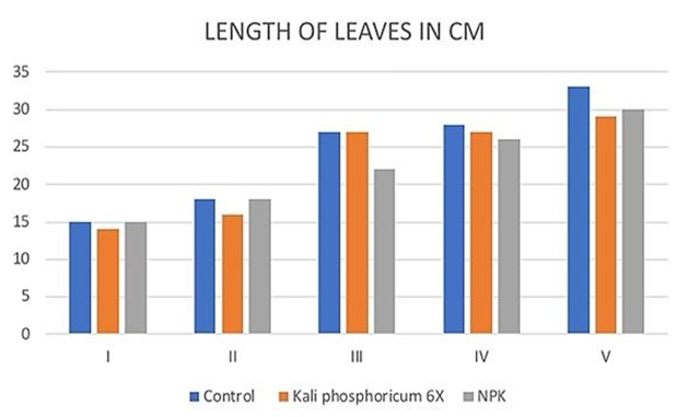 Figure 2: Length of the leaves.