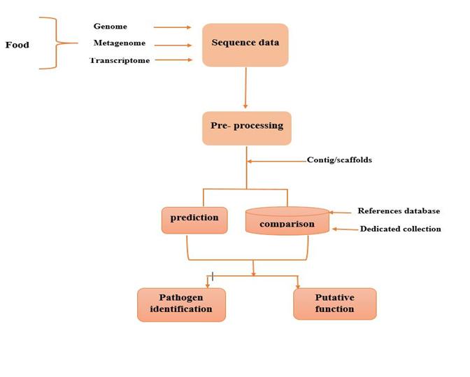 Figure 2: A schematic approach to identify pathogen through bioinformatics.