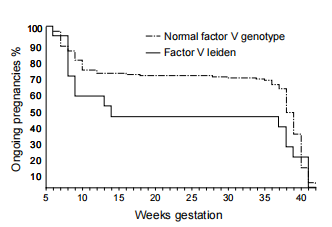 Figure 3: Survival plot of the outcome of untreated pregnancies among women with recurrent miscarriage who carry the Factor V Leiden mutation and those with a Normal Factor V genotype.